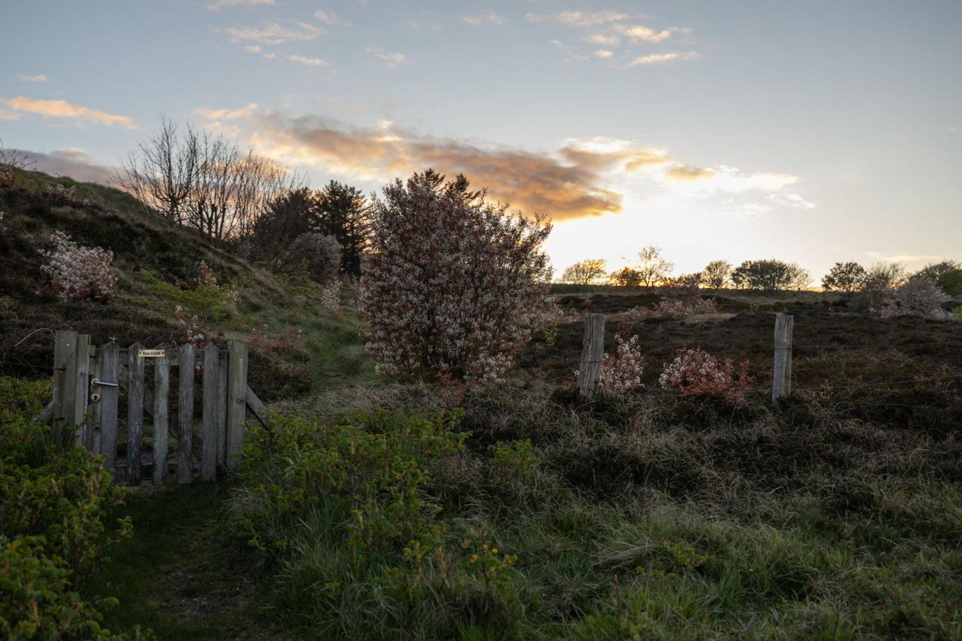 Villa Reethus Keitum Mit Kamin Und Suedgarten In Direkter Wattnaehe Exterior foto